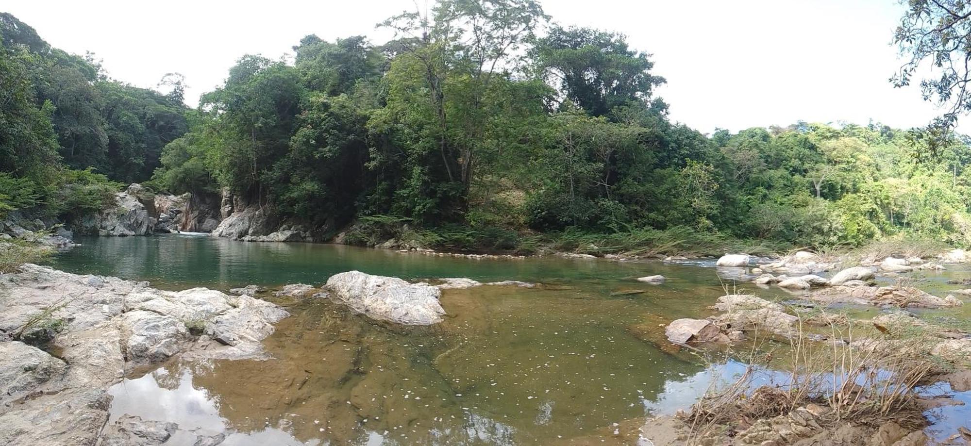 Ecocabanas Diosa Jaguar Tayrona La Esmeralda  Exterior foto