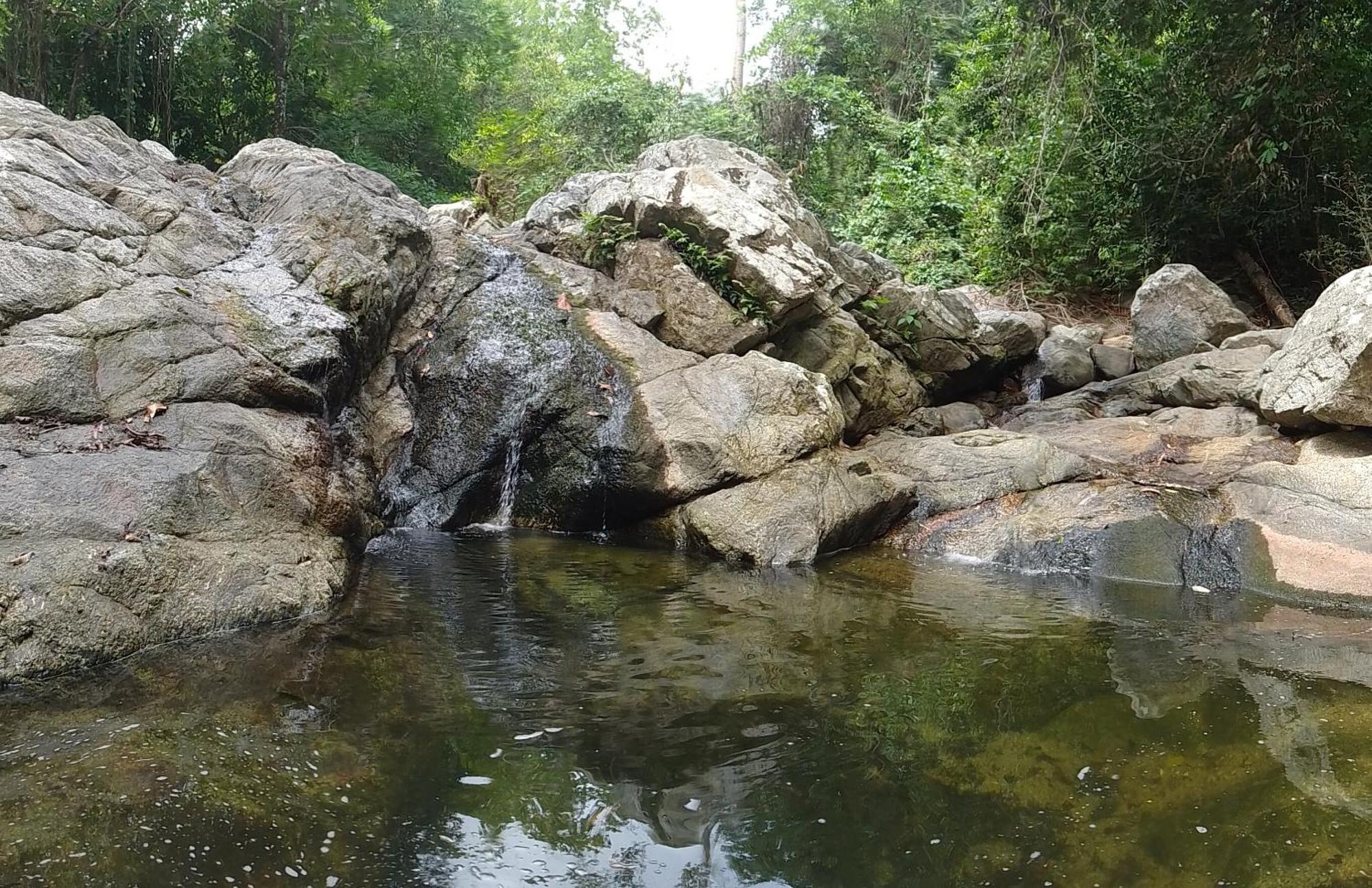 Ecocabanas Diosa Jaguar Tayrona La Esmeralda  Exterior foto
