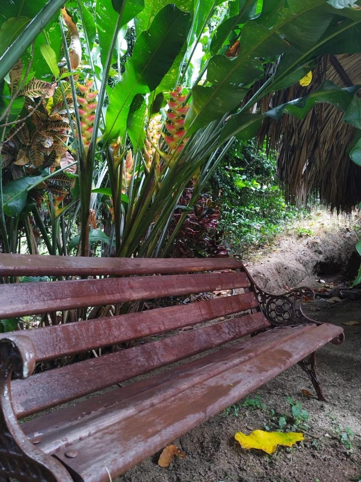 Ecocabanas Diosa Jaguar Tayrona La Esmeralda  Quarto foto